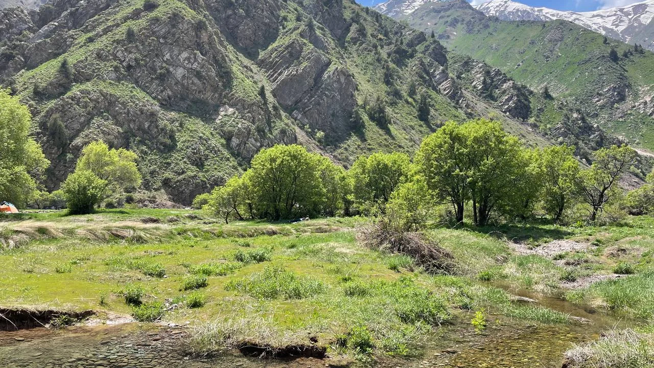 Sustainable Tourism Tips for Your Samarkand Getaway